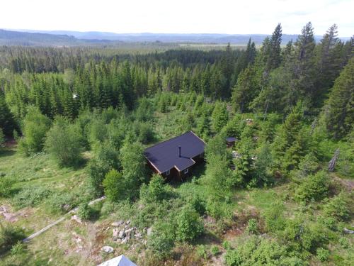 Cozy forest cabin with amazing mountain view